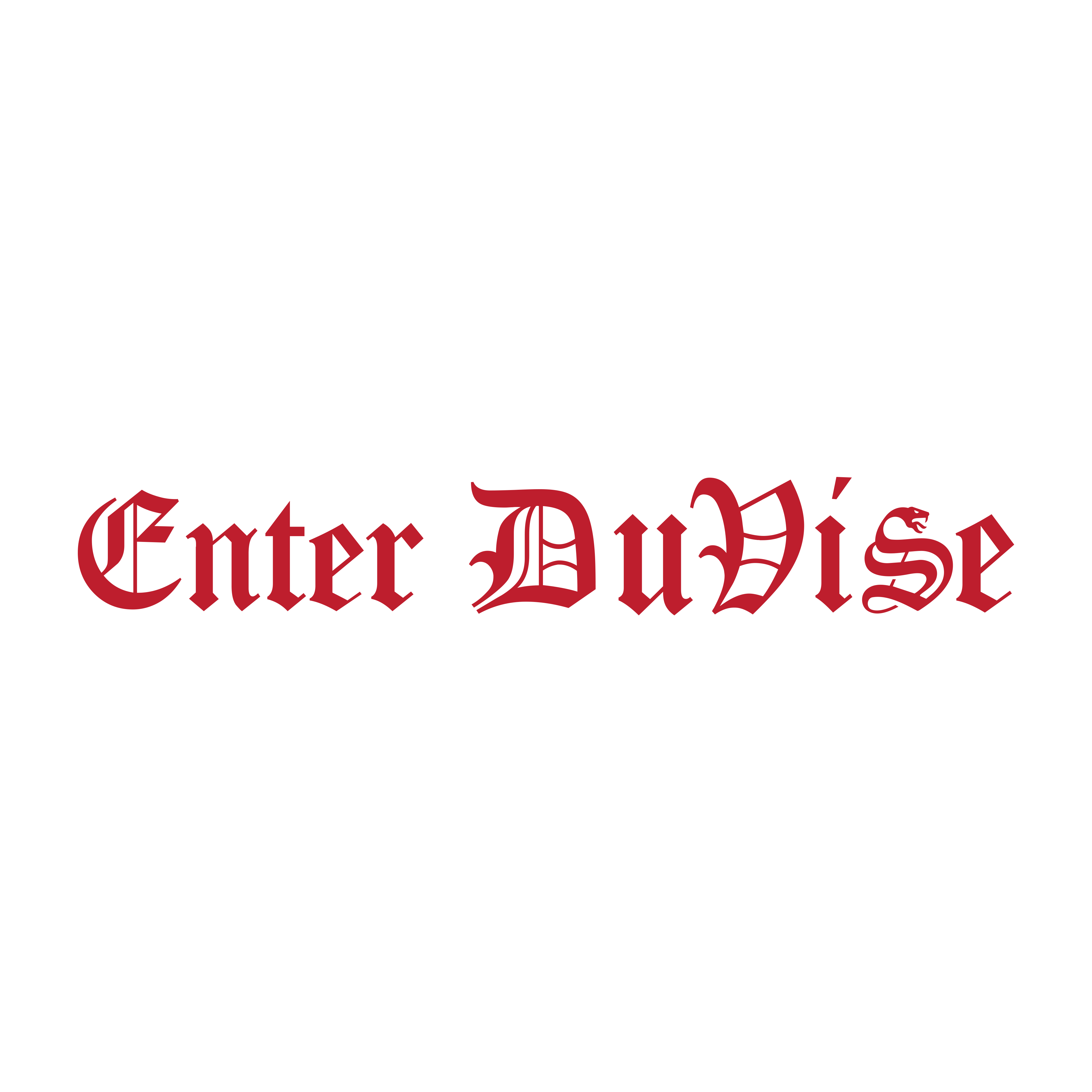 Enter DuVise